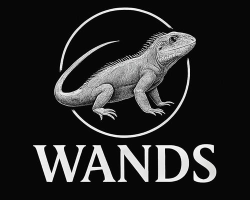 Logo with a lizard illustration and 'WANDS' text on a black background